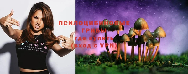дмт Бугульма