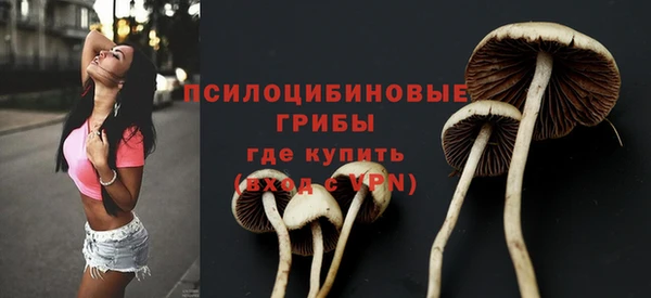СК Бронницы