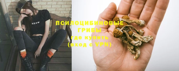 дмт Бугульма