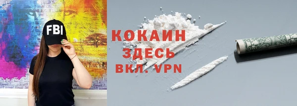 СК Бронницы