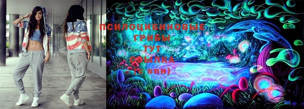 дмт Бугульма