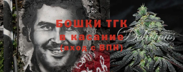 СК Бронницы