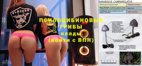 дмт Бугульма
