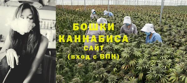 дмт Бугульма