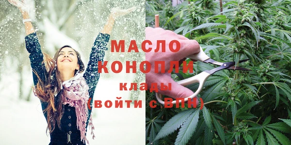 СК Бронницы