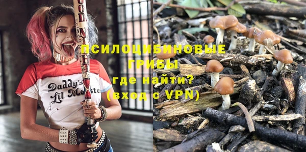 дмт Бугульма