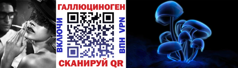 Псилоцибиновые грибы Psilocybe как найти закладки Губаха